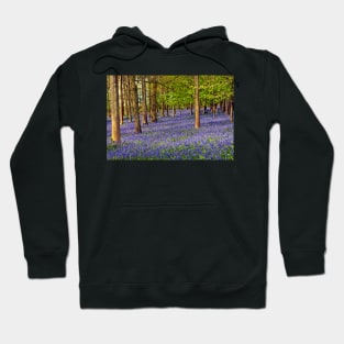 Bluebell Woods Greys Court Oxfordshire UK Hoodie